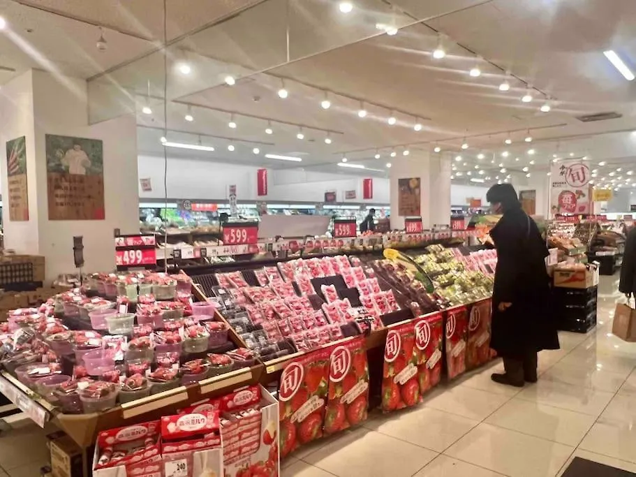 도쿄 錦糸町 아파트